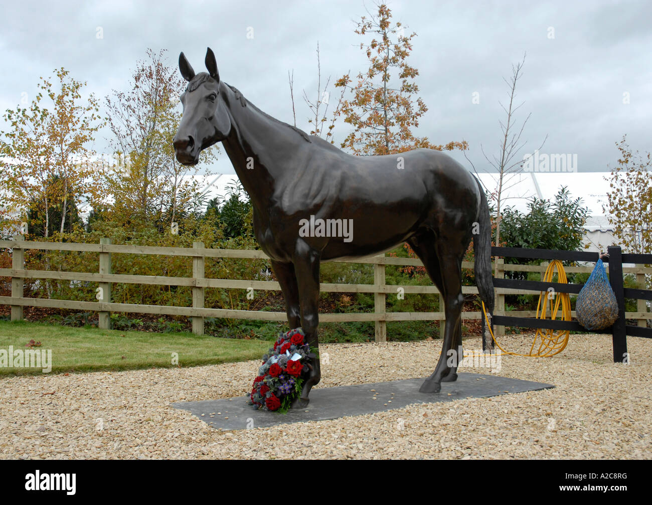 Cheltenham Racecourse Prestbury Park Statue des besten Kumpel dreimal Champion Hurdle Gewinner Stockfoto