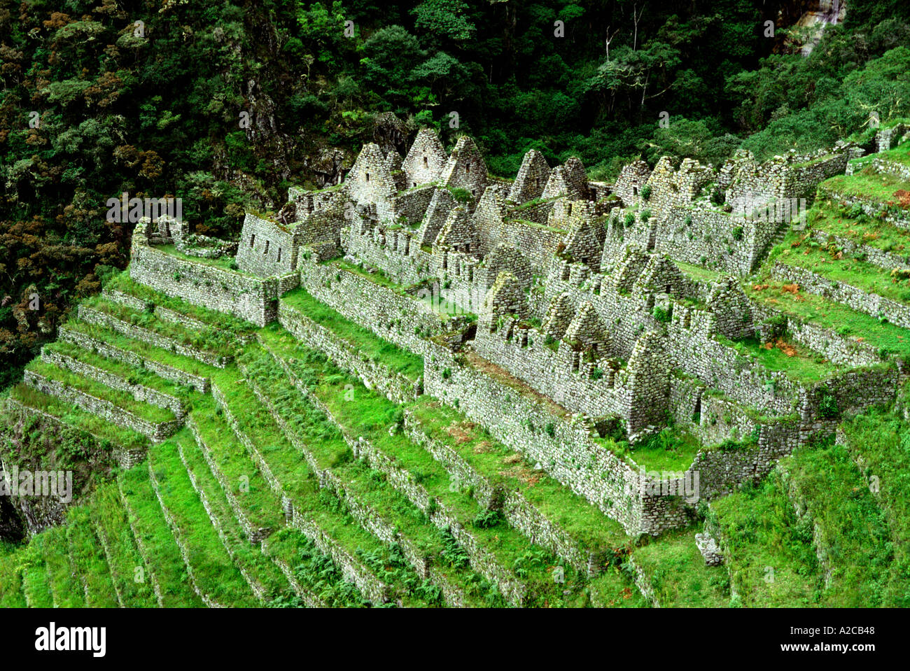 Huinay Huayna Ruinen. Inka-Trail nach Machu Picchu. Peru Stockfoto