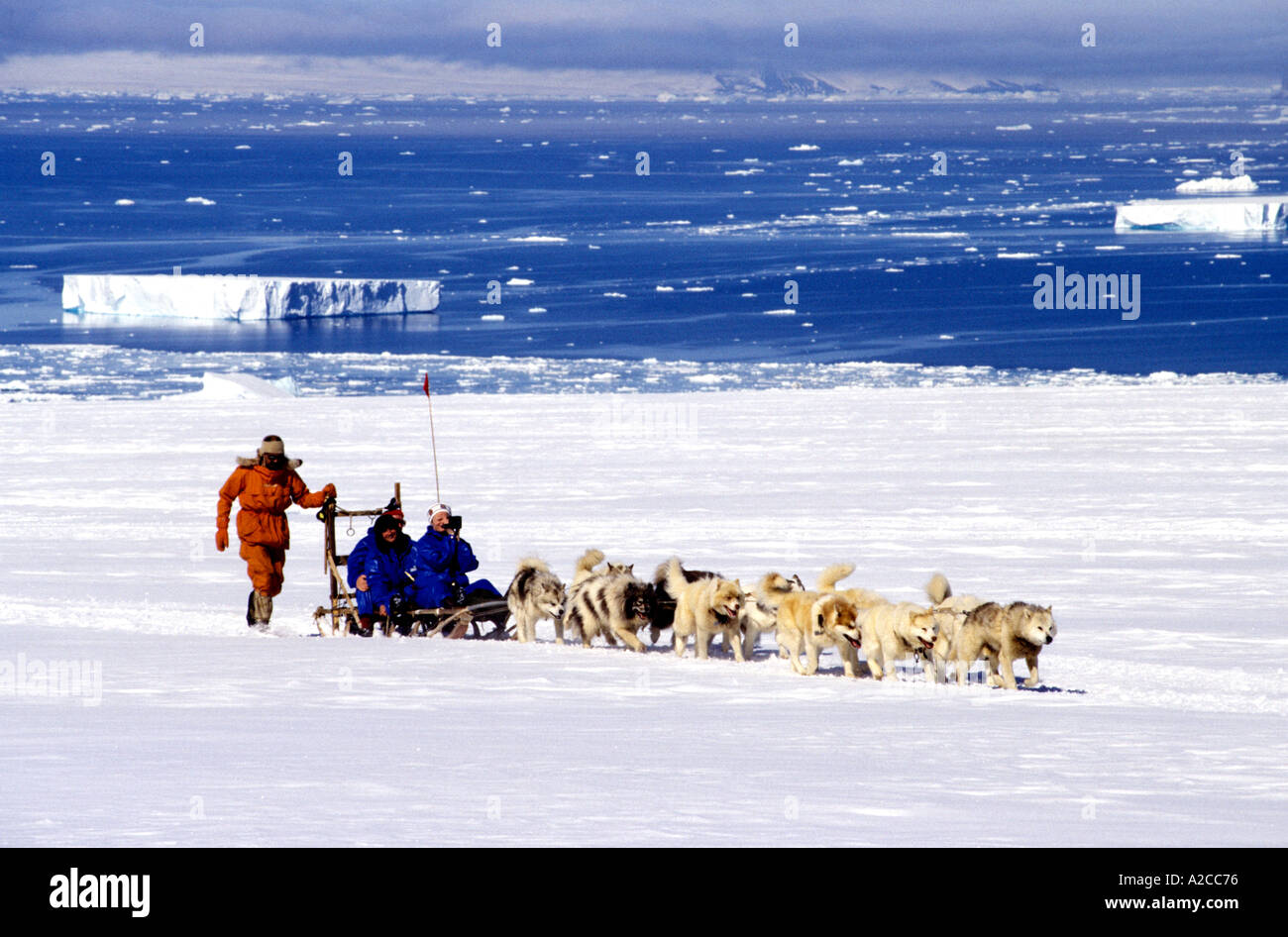 Ein Hund Schlitten Party im Bay der guten Hoffnung an der antarktischen Halbinsel Stockfoto