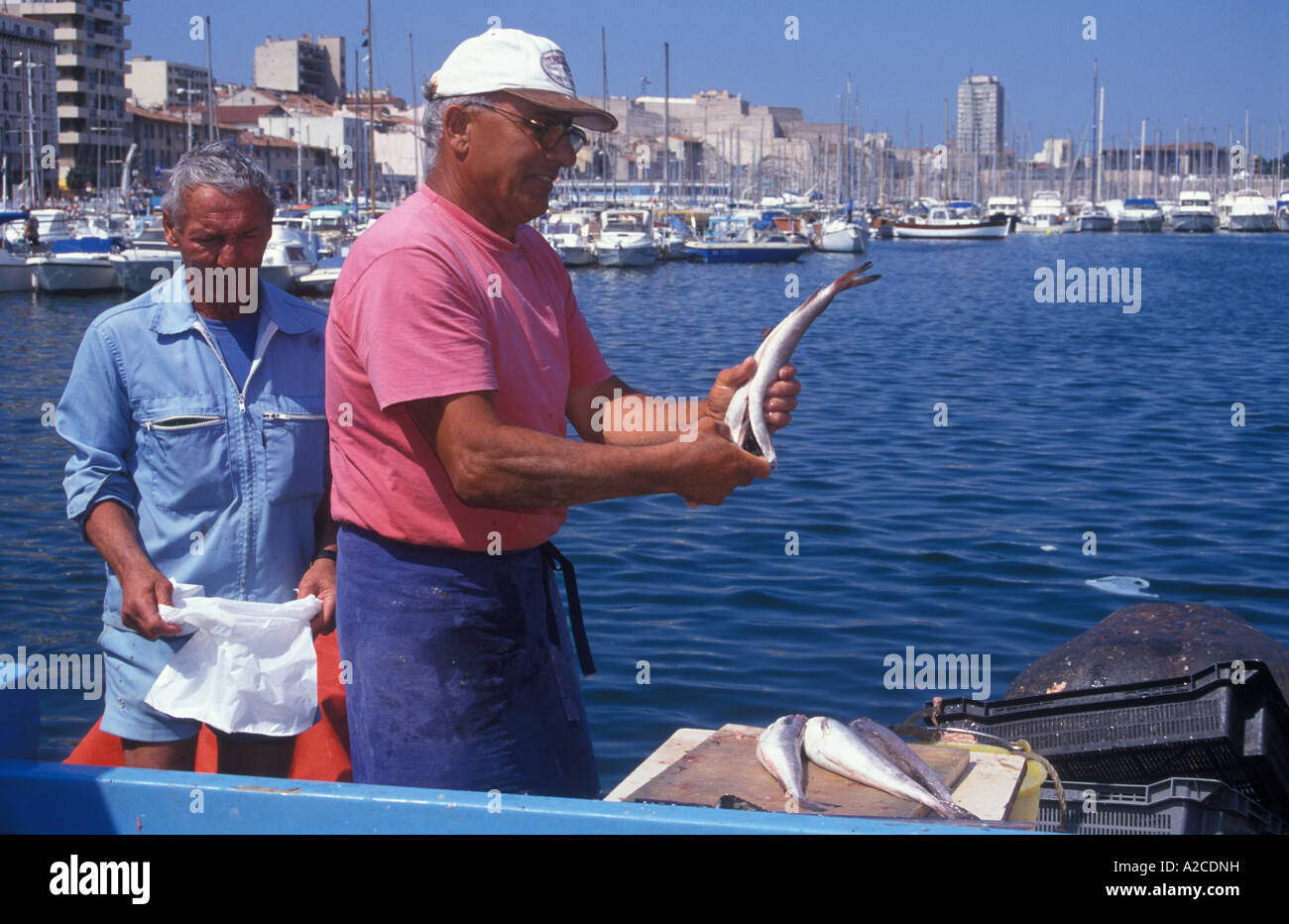 Männer verkaufen frisch gefangenen Fisch auf dem Fischmarkt am Vieux Port in Marseille im Süden Frankreichs Stockfoto