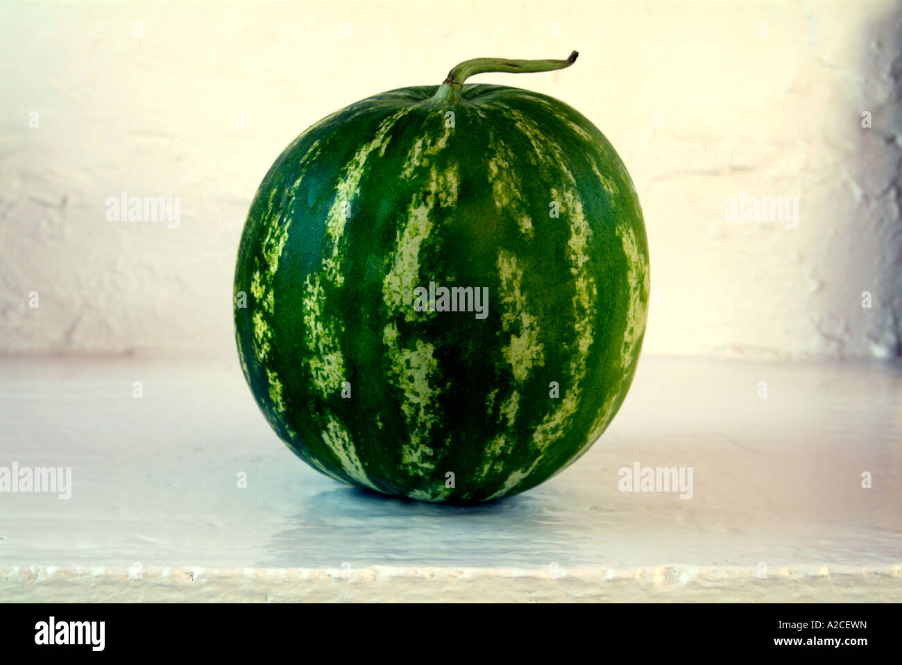 Eine griechische Wassermelone auf eine glatte weiße Oberfläche  Stockfotografie - Alamy