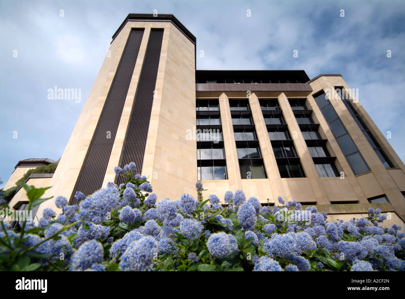 Modernes Gebäude im Herzen des Finanzzentrums von Edinburgh mit lila Blumen im Vordergrund, Schottland, Vereinigtes Königreich Stockfoto