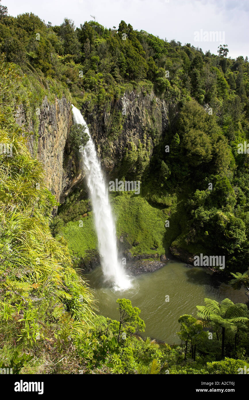 Blick auf die Bridal Veil Falls, Waikato, Nordinsel, Neuseeland. Stockfoto