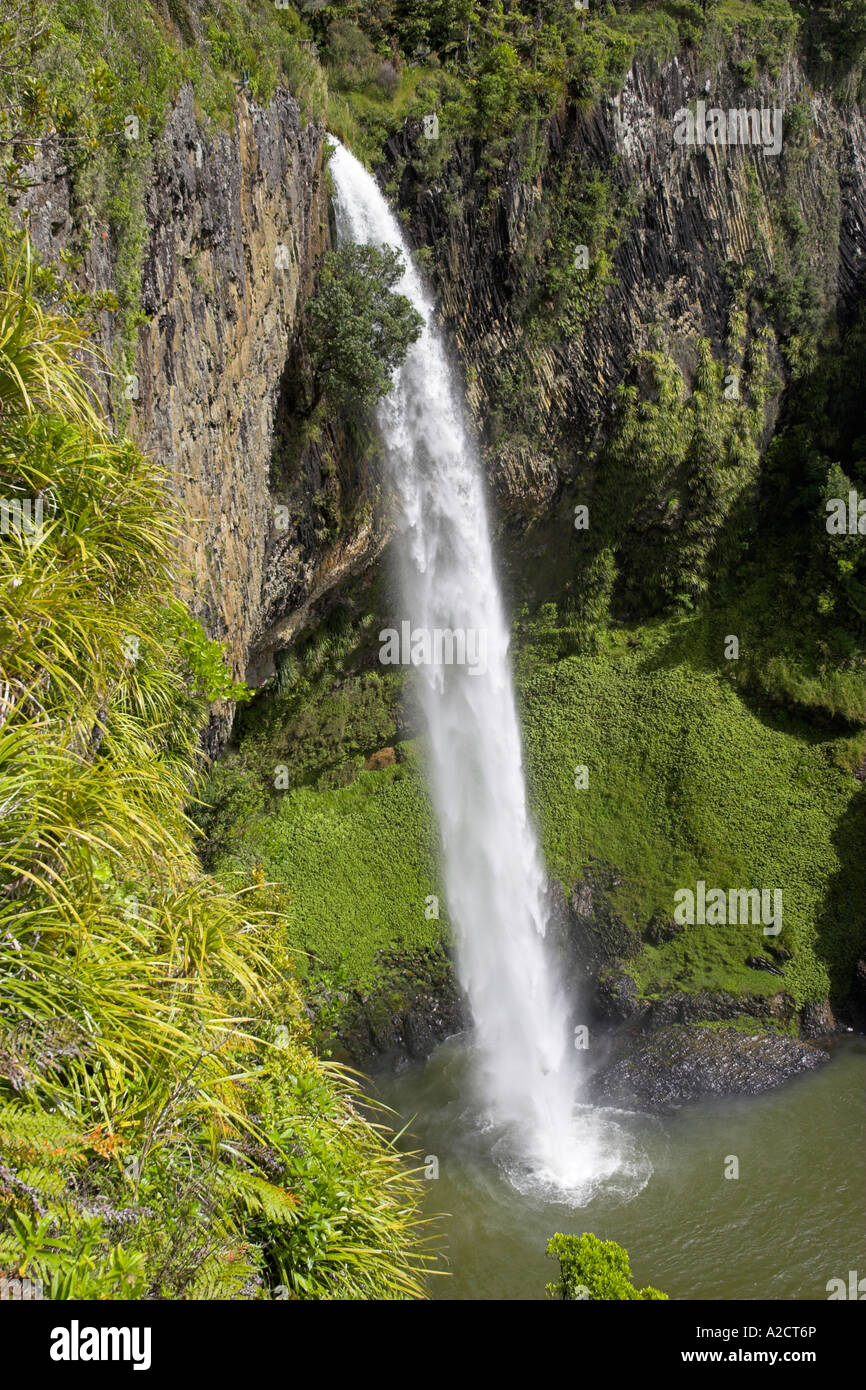 Blick auf die Bridal Veil Falls, Waikato, Nordinsel, Neuseeland. Stockfoto