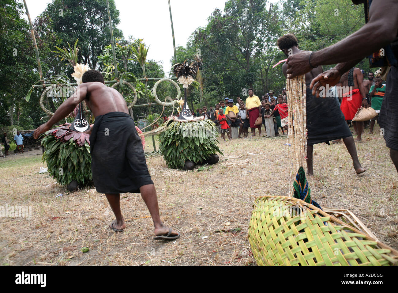 Männer werfen Muschelgeld auf Tubuans an einem Tolai Tod Zeremonie, Matupit Insel, East New Britain, Papua-Neuguinea Stockfoto