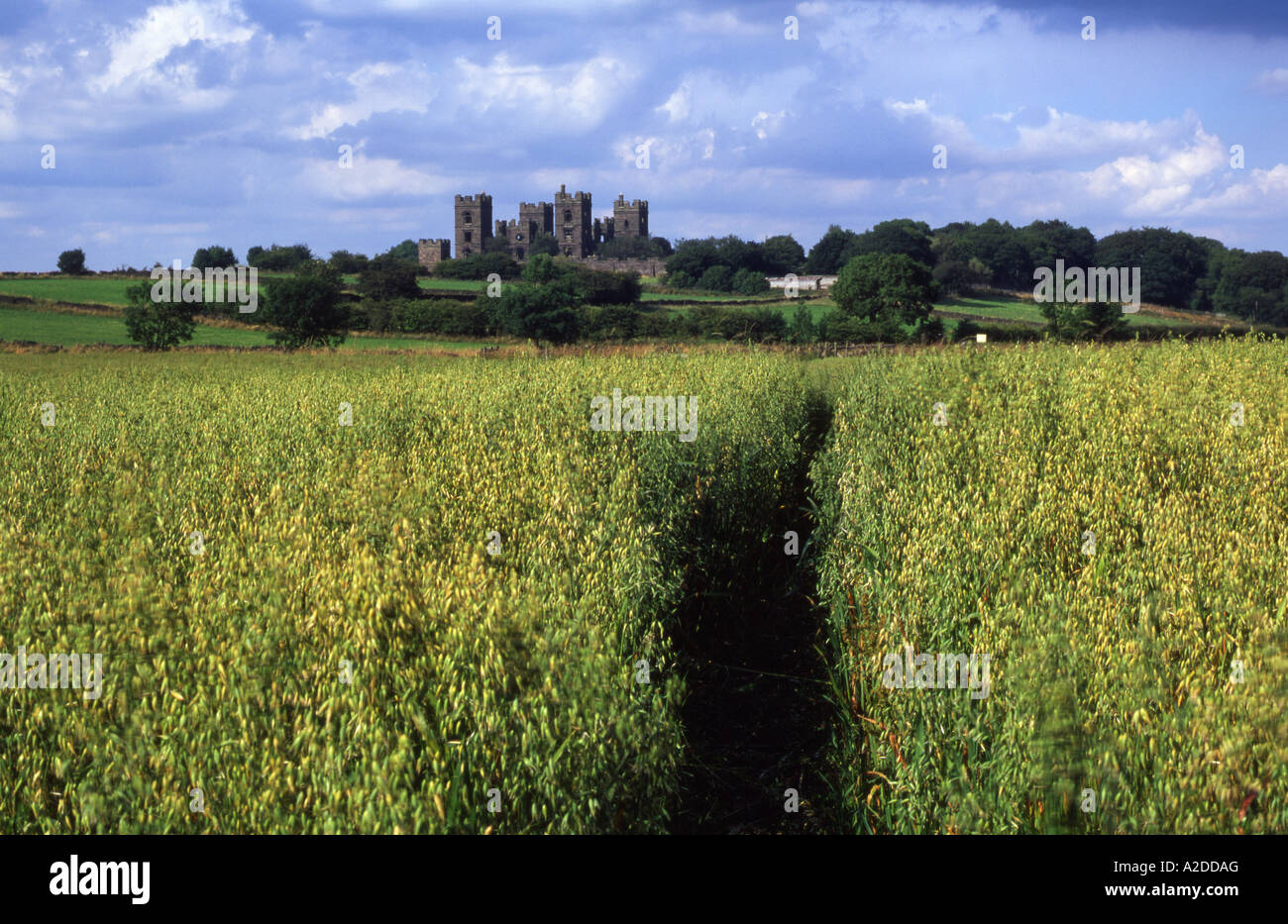 Riber Castle, Matlock, Derbyshire, England Stockfoto