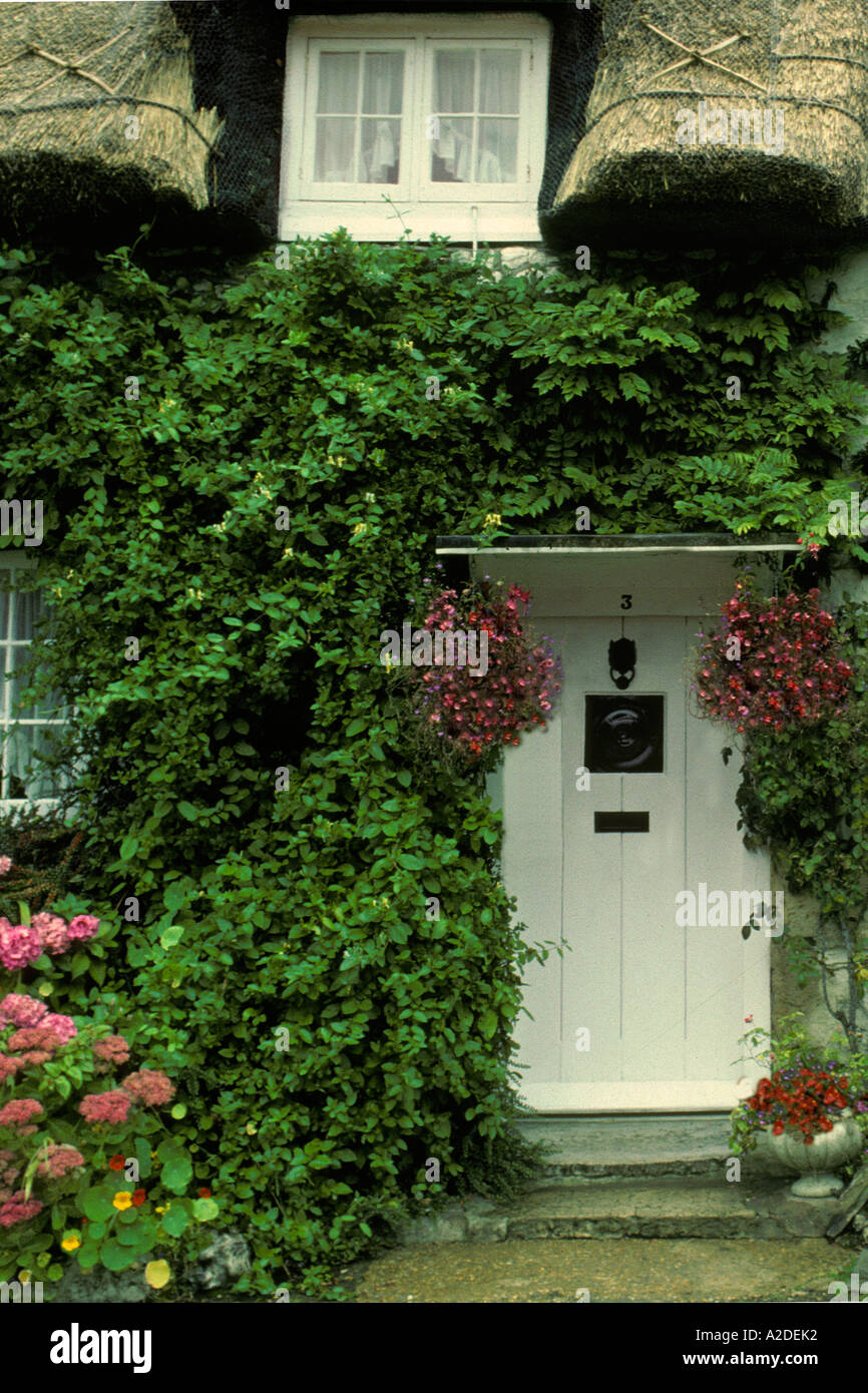 Alte englische Haus mit traditionellen Reetdach, Efeu, Garten und Dooryard Garten mit blühenden Blumen, UK Stockfoto