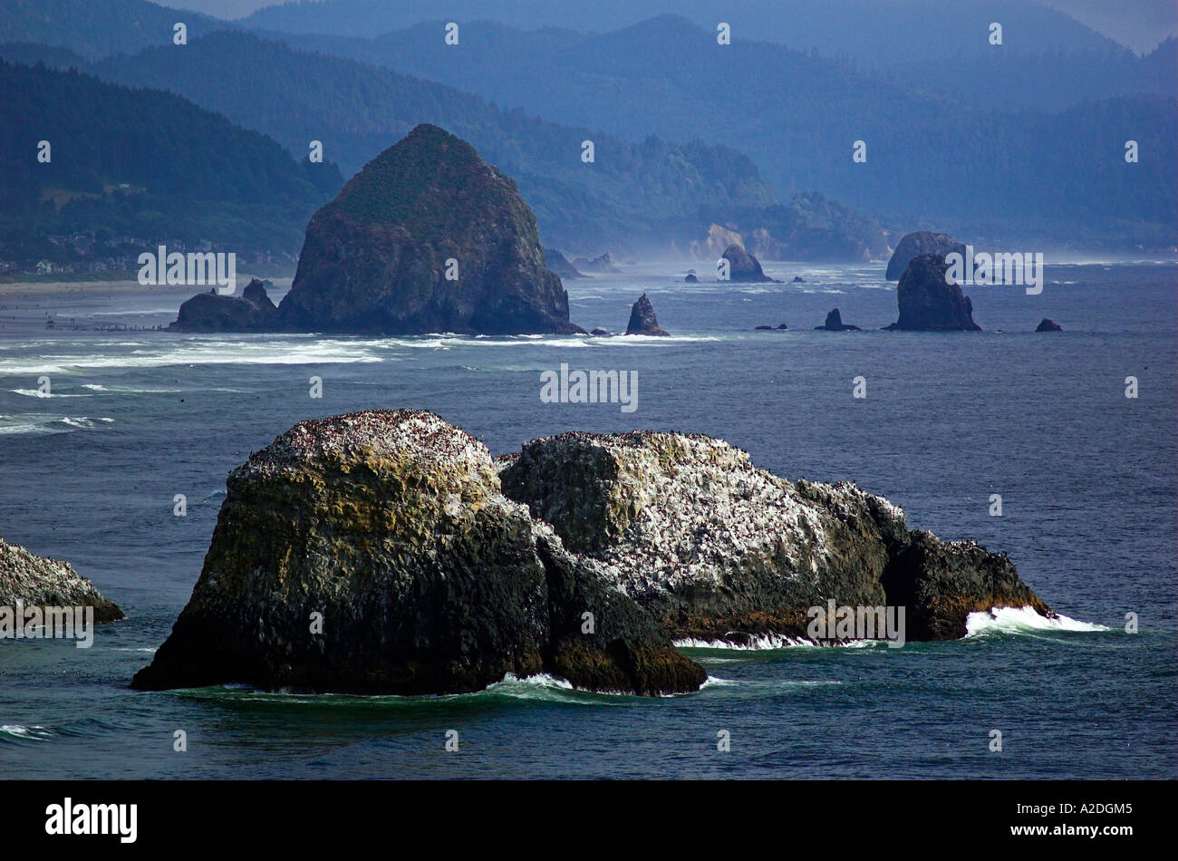 Ecola State Park, Oregon, USA Stockfoto