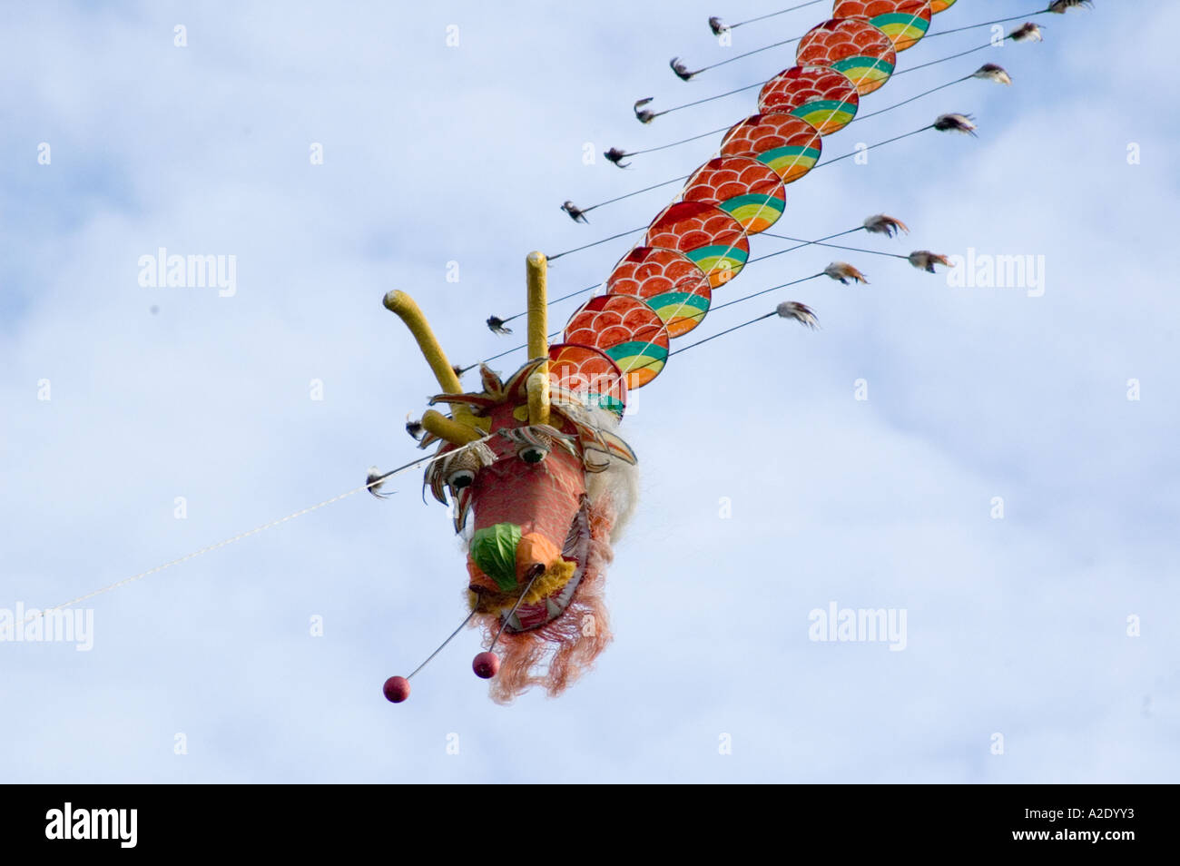 Chinese New Year Celebration York UK 2006 Stockfoto