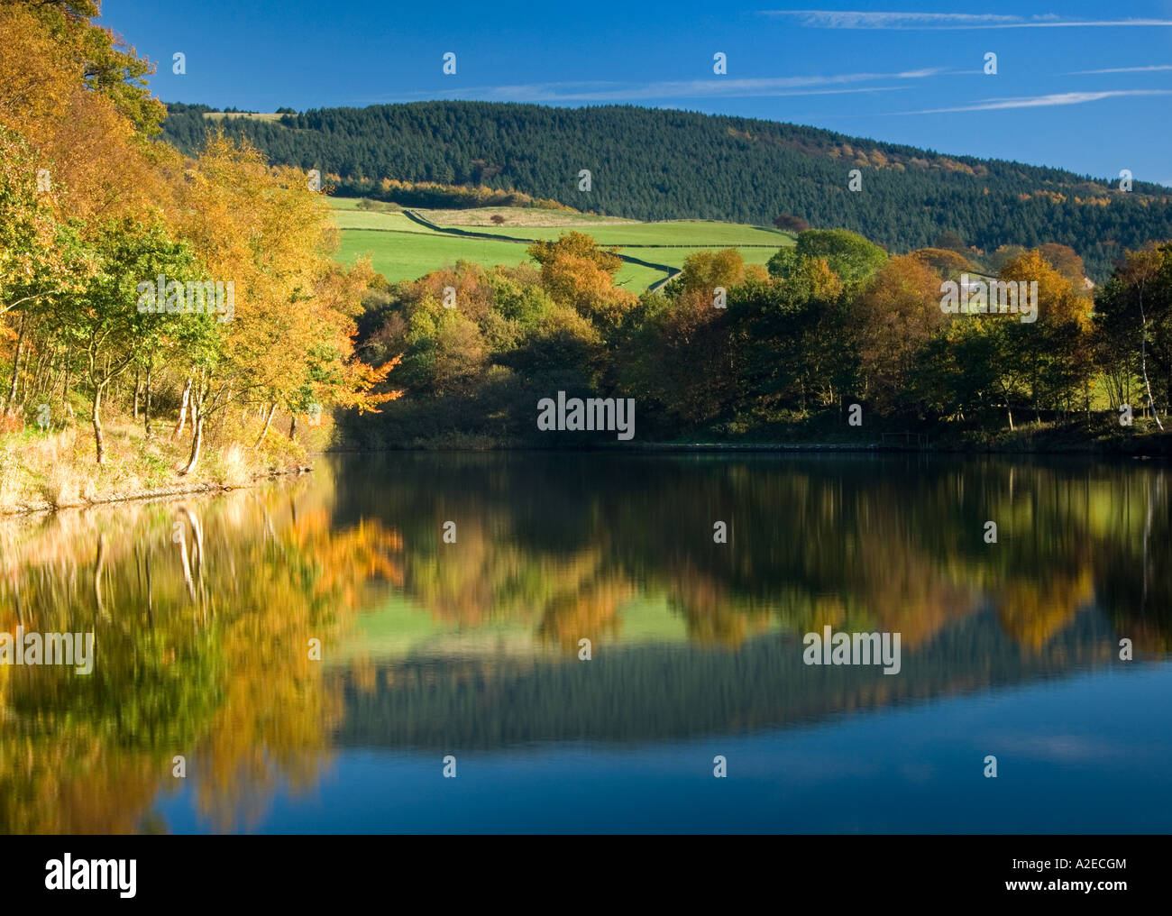 Macclesfield Wald spiegelt sich in der Tegg Nase Reservoir im Herbst, in der Nähe von Langley, Cheshire, England, UK Stockfoto