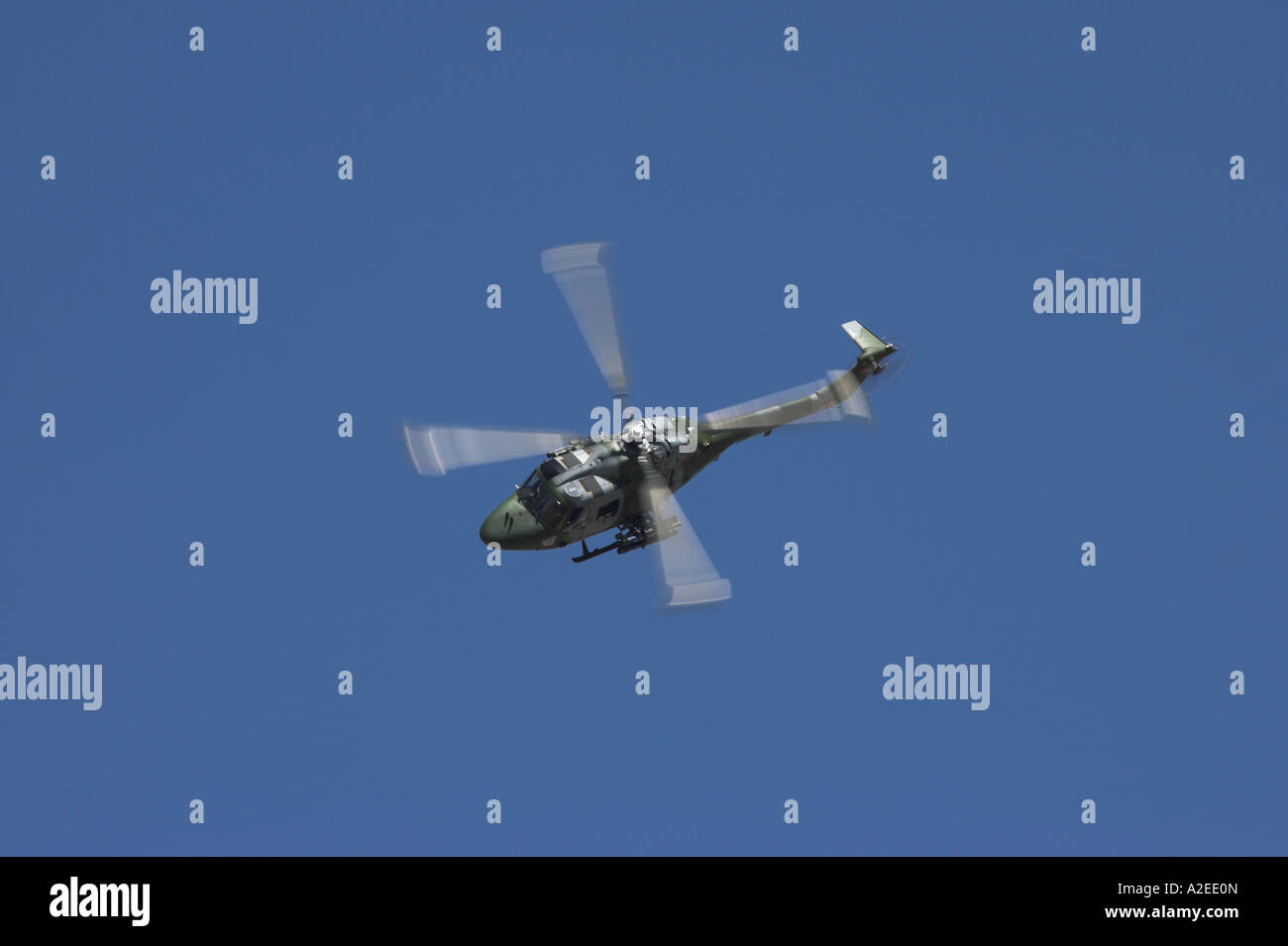 Die Blue Eagles, Lynx AH7, RIAT, England, UK Stockfoto