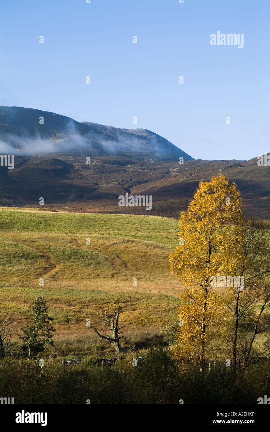 dh Brae Foss STRATHTUMMEL PERTHSHIRE Herbst farbige Baum Nebel über Berg Schiehallion Stockfoto