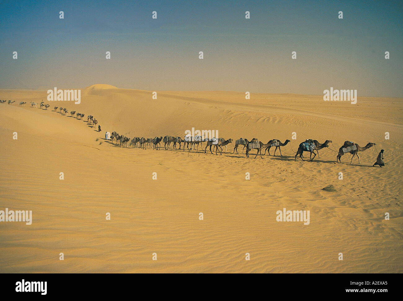 Salz Wohnwagen in großen Sahara Wüste Mali Stockfoto