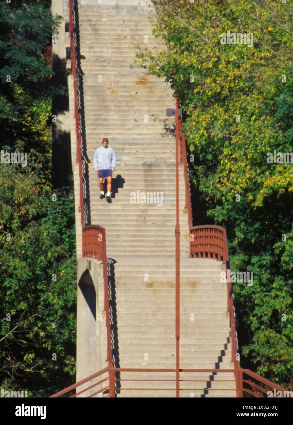 Mann läuft auf Treppen, umgeben von Bäumen am Seeufer Milwaukee Wisconsin USA Stockfoto