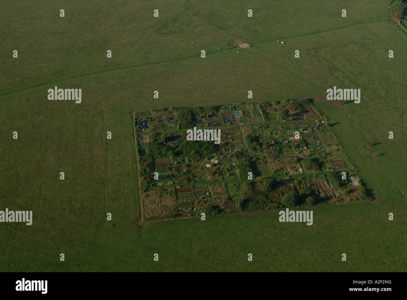 Luftaufnahme von Kleingärten auf Wolvercote Common, Oxford, England, UK. Stockfoto
