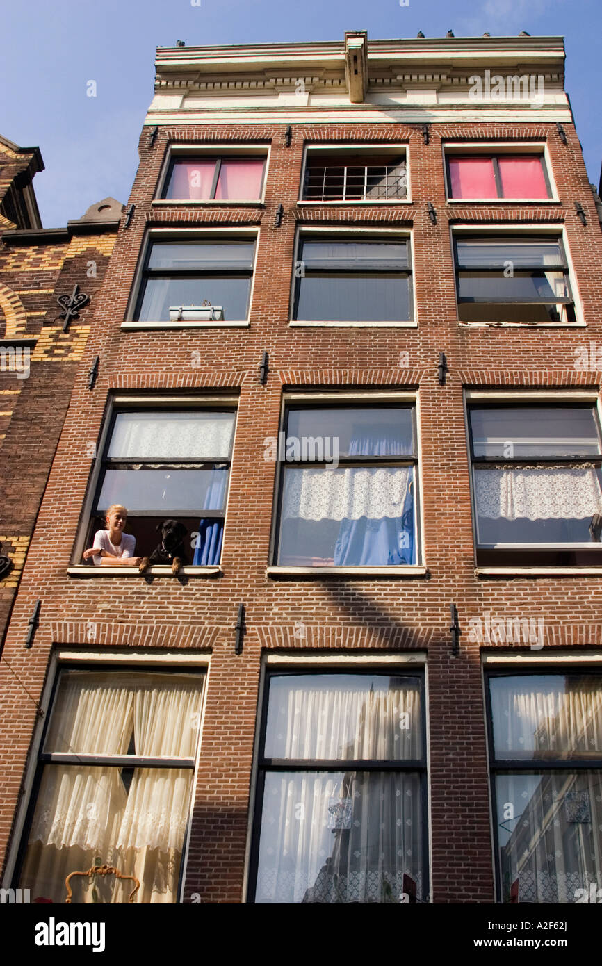 Amsterdam-Jourdan Frau mit Hund am Fenster typischen Architektur Stockfoto