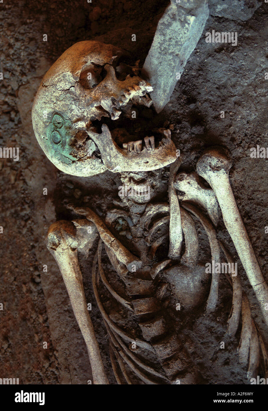 Lachende Skelett aus den urzeitlichen Friedhof zeigt im Nationalmuseum in Prag, Tschechische Republik Stockfoto