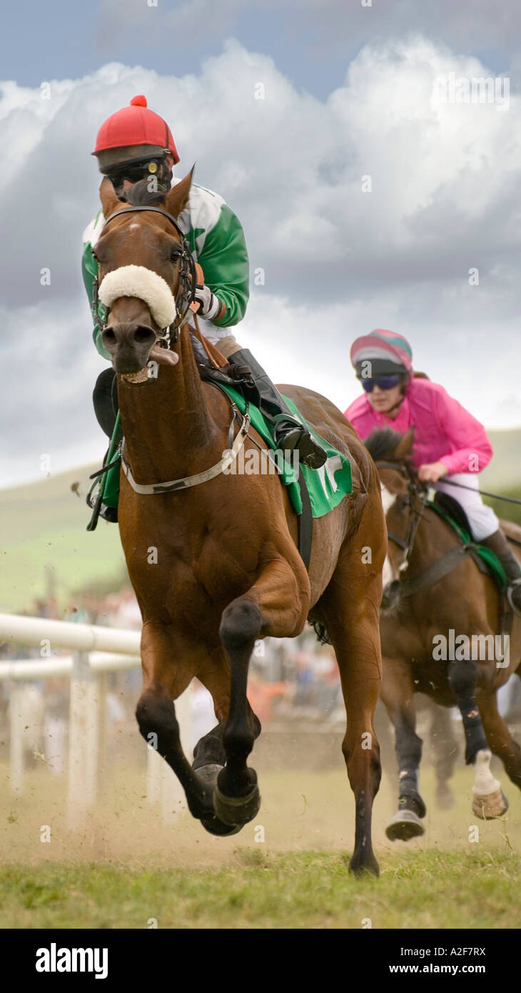 Pferderennen - Dingle-Derby Stockfoto