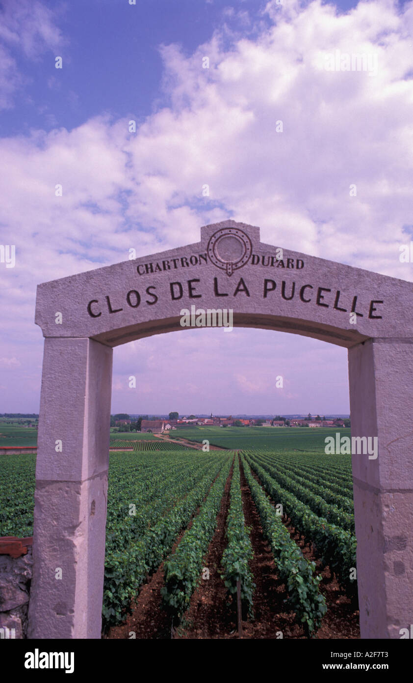 EU, Frankreich, Burgund, Puligny-Montrachet Weinberg gateway Stockfoto