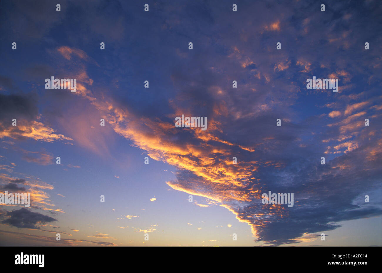Himmel nr Auckland Nordinsel Neuseeland Stockfoto