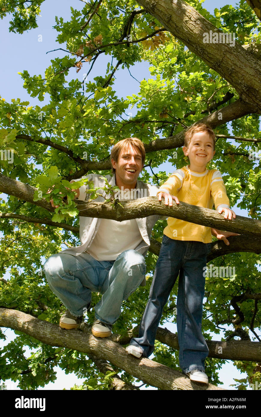 Vater und Sohn (4-7) am Baum, niedrigen Winkel Ansicht Stockfoto