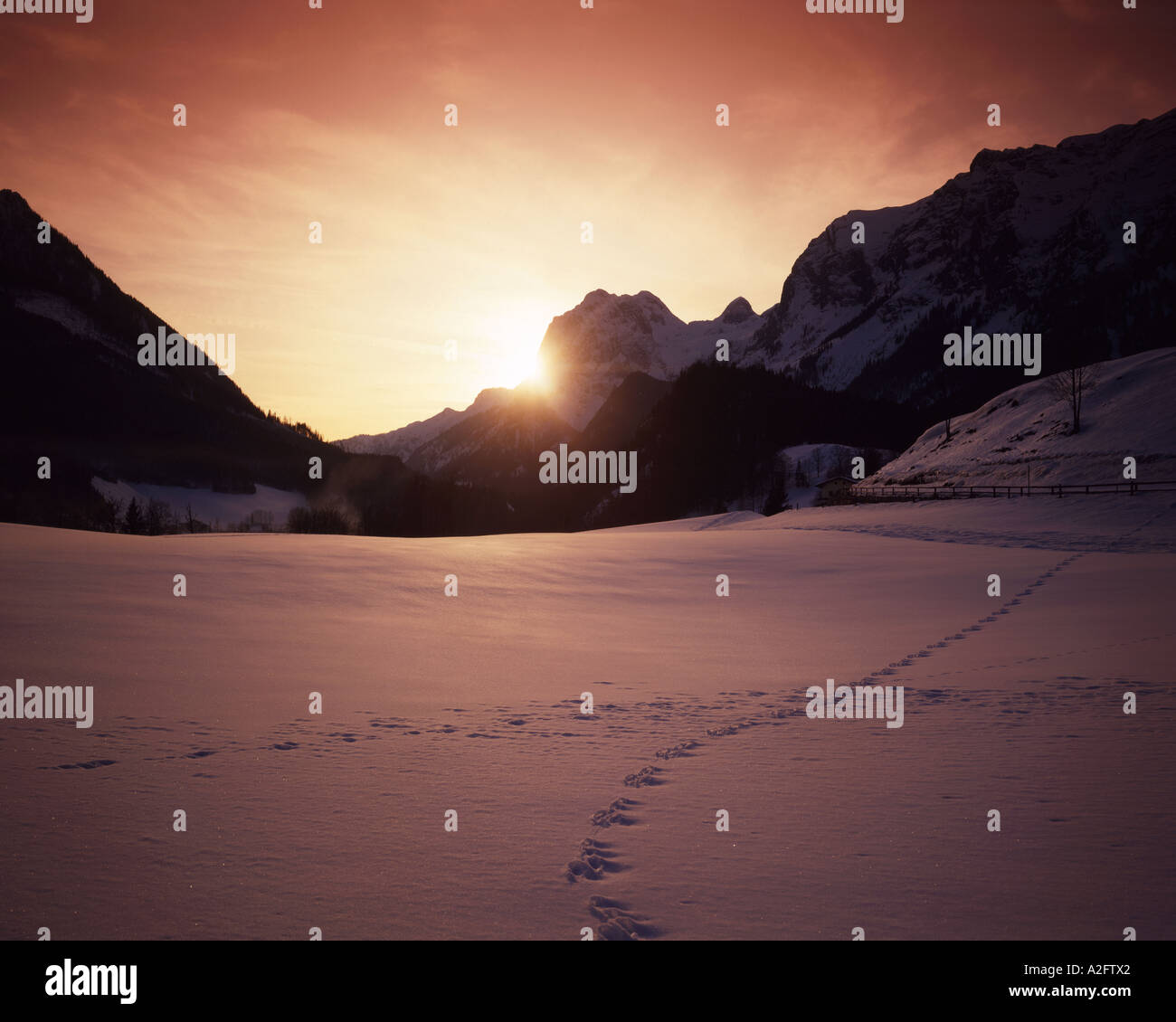 DE - Bayern: Winterscene in der Nähe von Ramsau Stockfoto