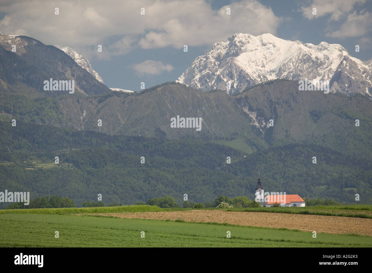 Slowenien, GORENJSKA, hier: Kirche & Feld mit Kamnik, Savinja Alpen / Sommer Stockfoto