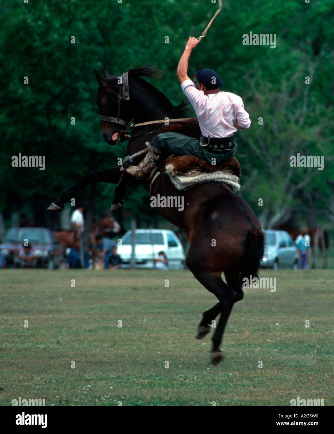 Argentinien, Buenos Aires, San Antonio de Areco, Gauchos in Argentinien. Stockfoto