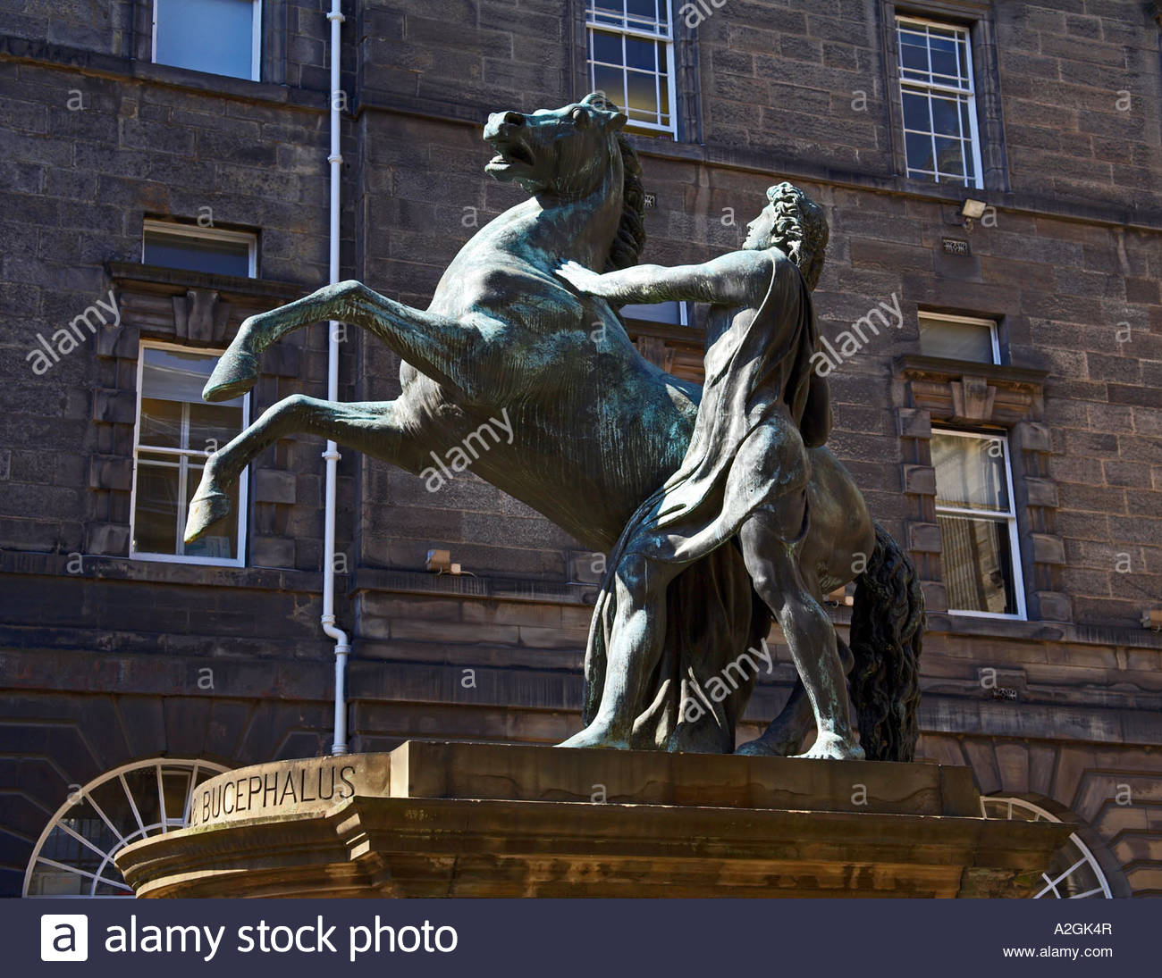 Statue des Bucephalus, Edinburgh City Chambers Royal Mile, Edinburgh, Schottland Stockfoto