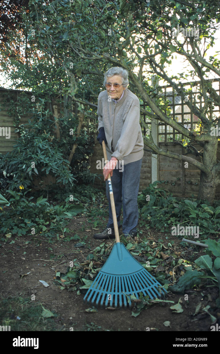 ältere Frau Rechen und dazu neigt, ihren Garten Stockfoto