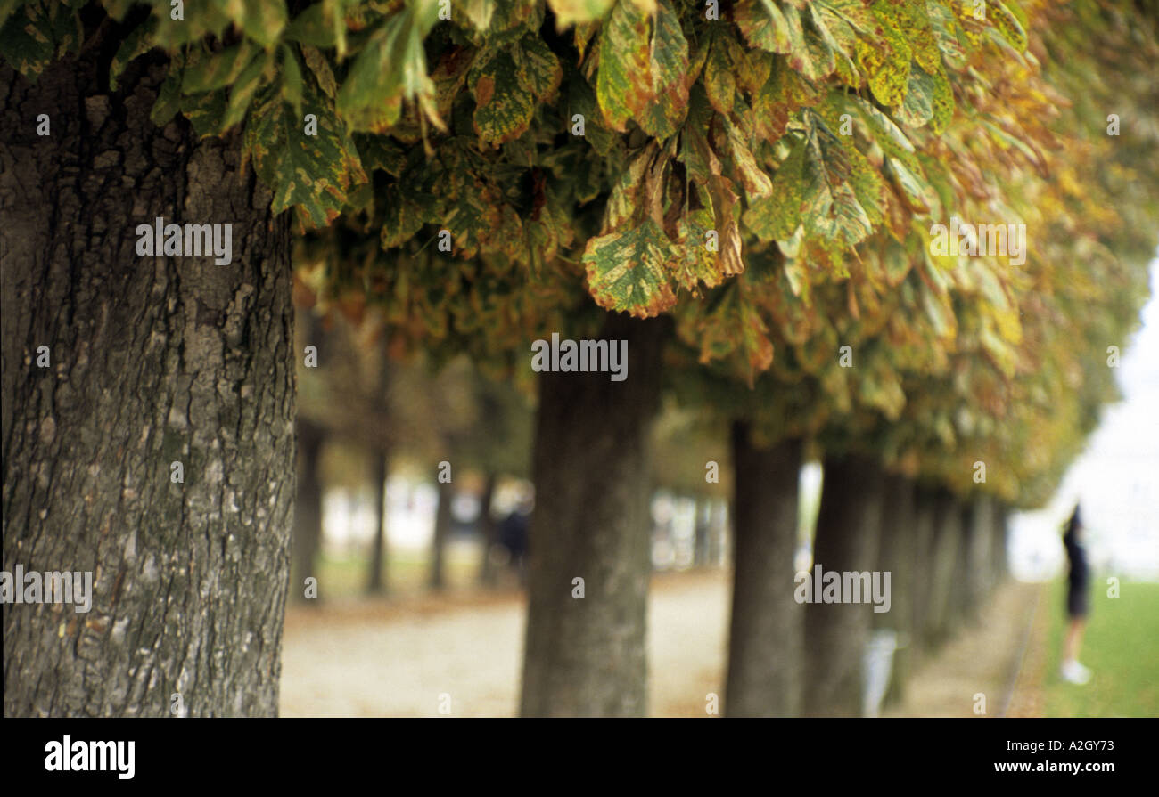 Übung im Palais Jardins du Luxembourg bank links Paris Frankreich Stockfoto