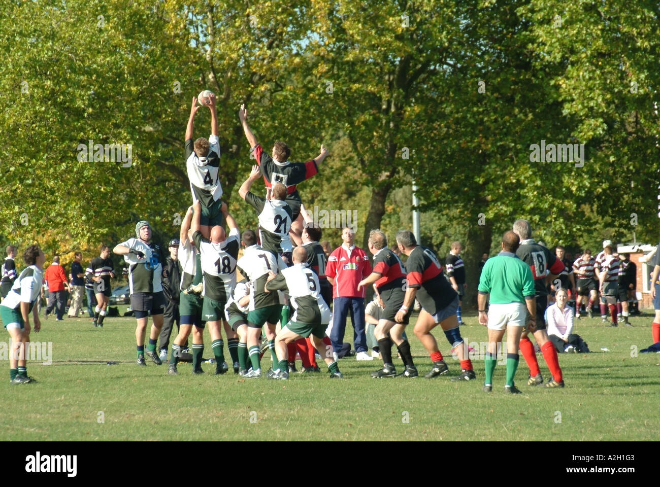 Schiedsrichter amtieren nach team Spiel amateur Rugby-spiel Spieler in Action Lifting in Line out werfen im lokalen Sport park Brentwood Essex England Großbritannien Stockfoto