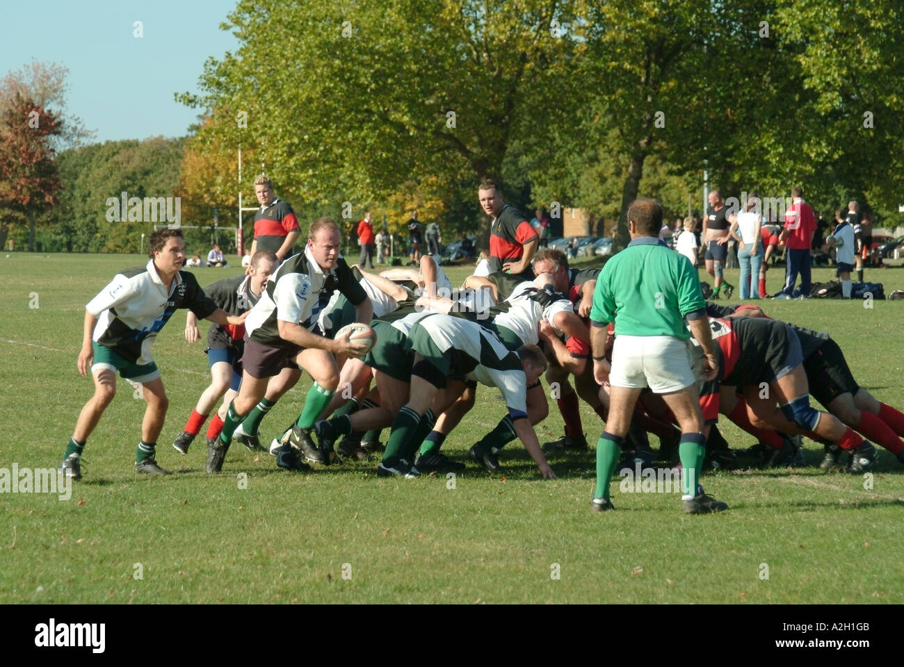 Schiedsrichter amtieren nach team Spiel amateur Rugby-spiel Spieler in einem Scrum eine bricht mit Kugel auf lokaler Sport park Brentwood Essex England Großbritannien Stockfoto