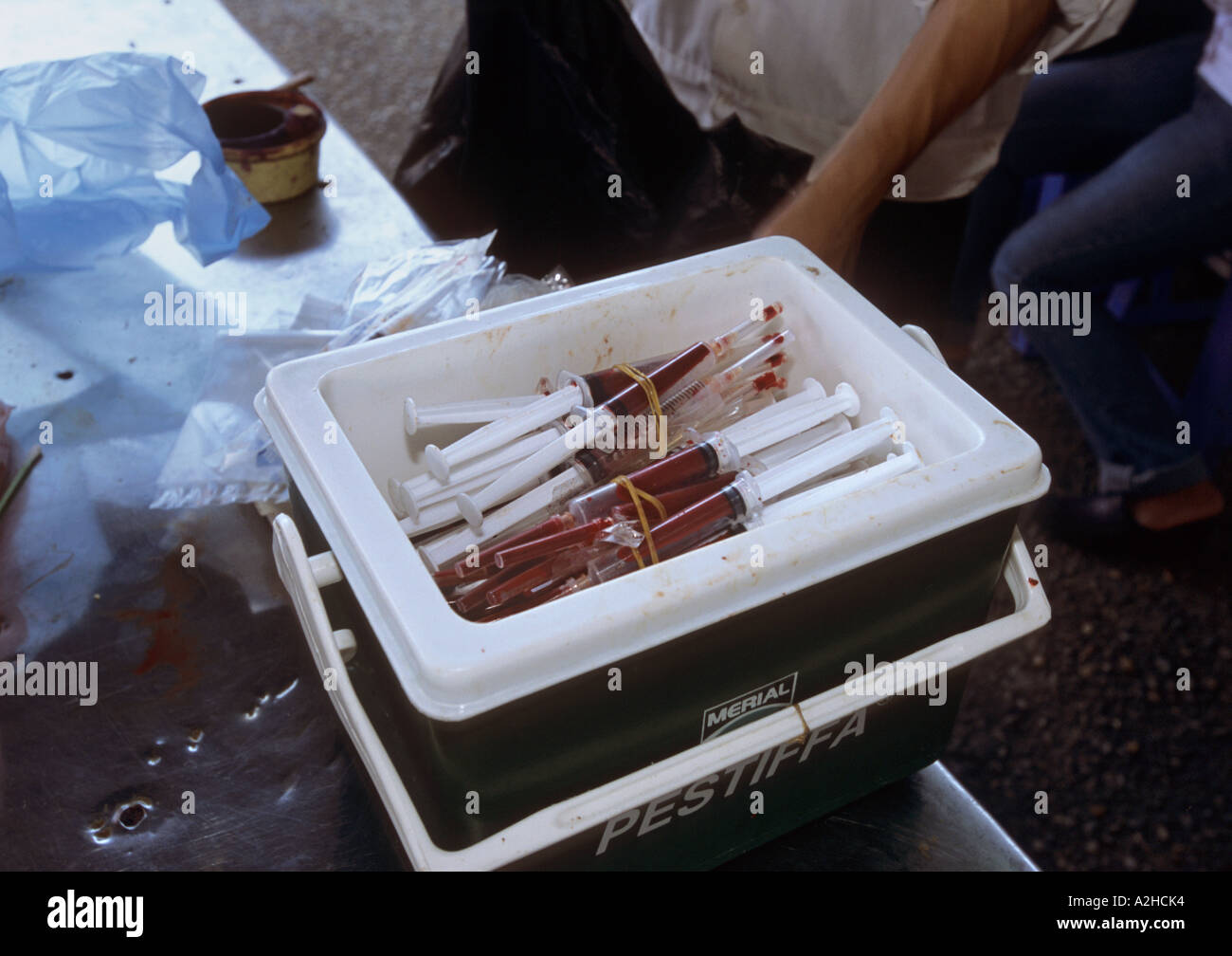 Geflügel zu verkaufen, Long Bien Market, Hanoi, Vietnam. Mitarbeiter der Abteilung für Gesundheit Testvögel und Produkte für die Vogelgrippe. Stockfoto