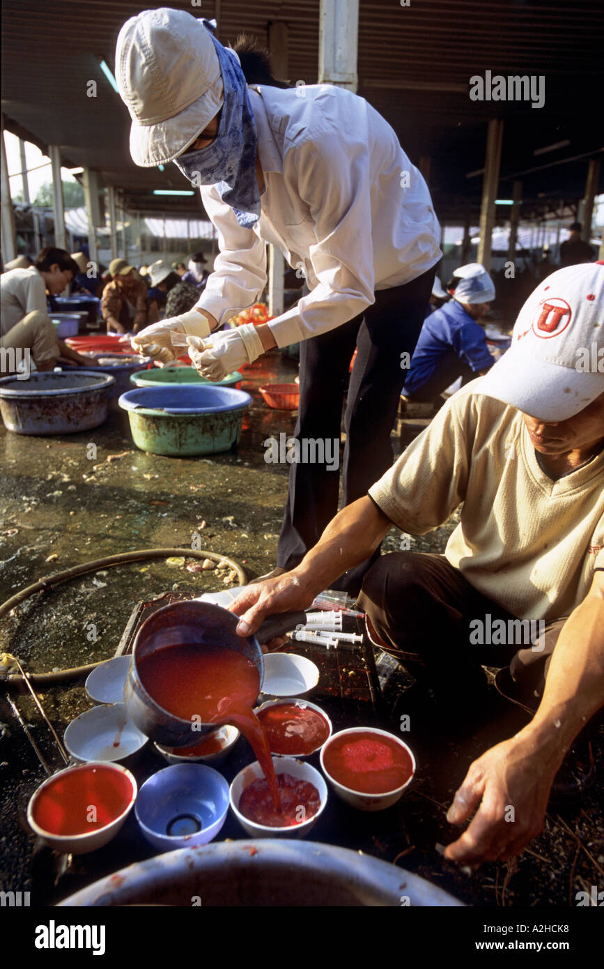 Geflügel zu verkaufen, Long Bien Market, Hanoi, Vietnam. Mitarbeiter der Abteilung für Gesundheit Testvögel und Produkte für die Vogelgrippe. Stockfoto