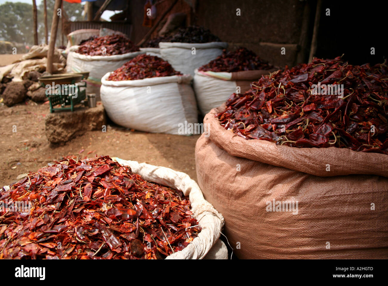 Red Chili auf dem Hauptmarkt, Bahar Dar, Äthiopien Stockfoto
