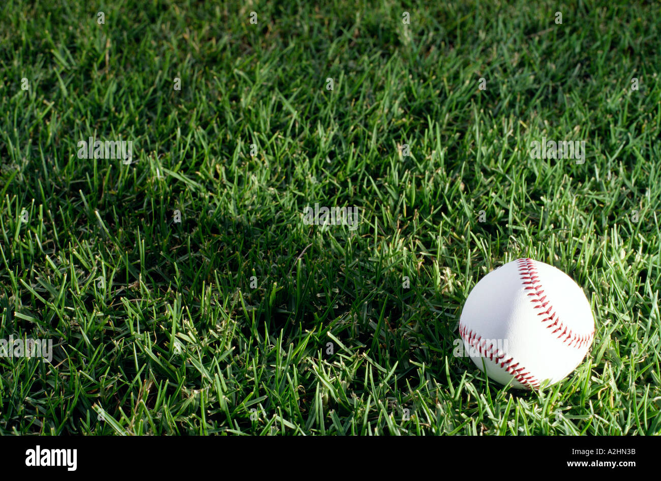 Einen weißen sauberen Baseball Ball auf frischen grünen Rasen Stockfoto