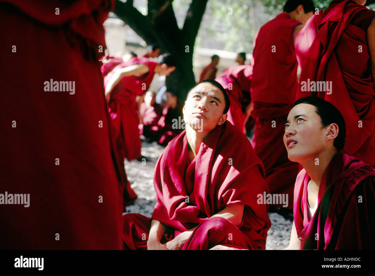 Viele tibetische buddhistische Mönche tragen rote diskutieren energetisch bei Sera Kloster Lhasa Tibet China Asien Stockfoto