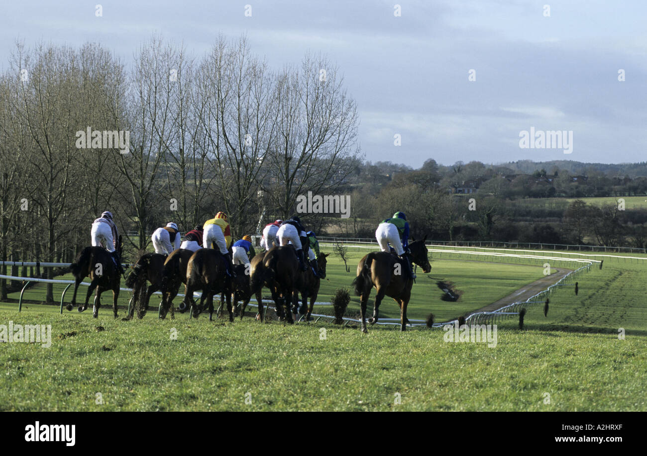 Pferderennen in Warwick Rennen, Warwickshire, England, UK Stockfoto