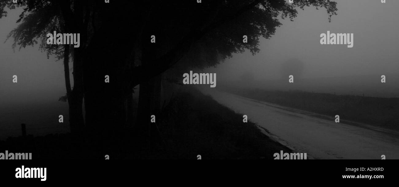 Baum neben Straße im Nebel, Peak District, UK Stockfoto