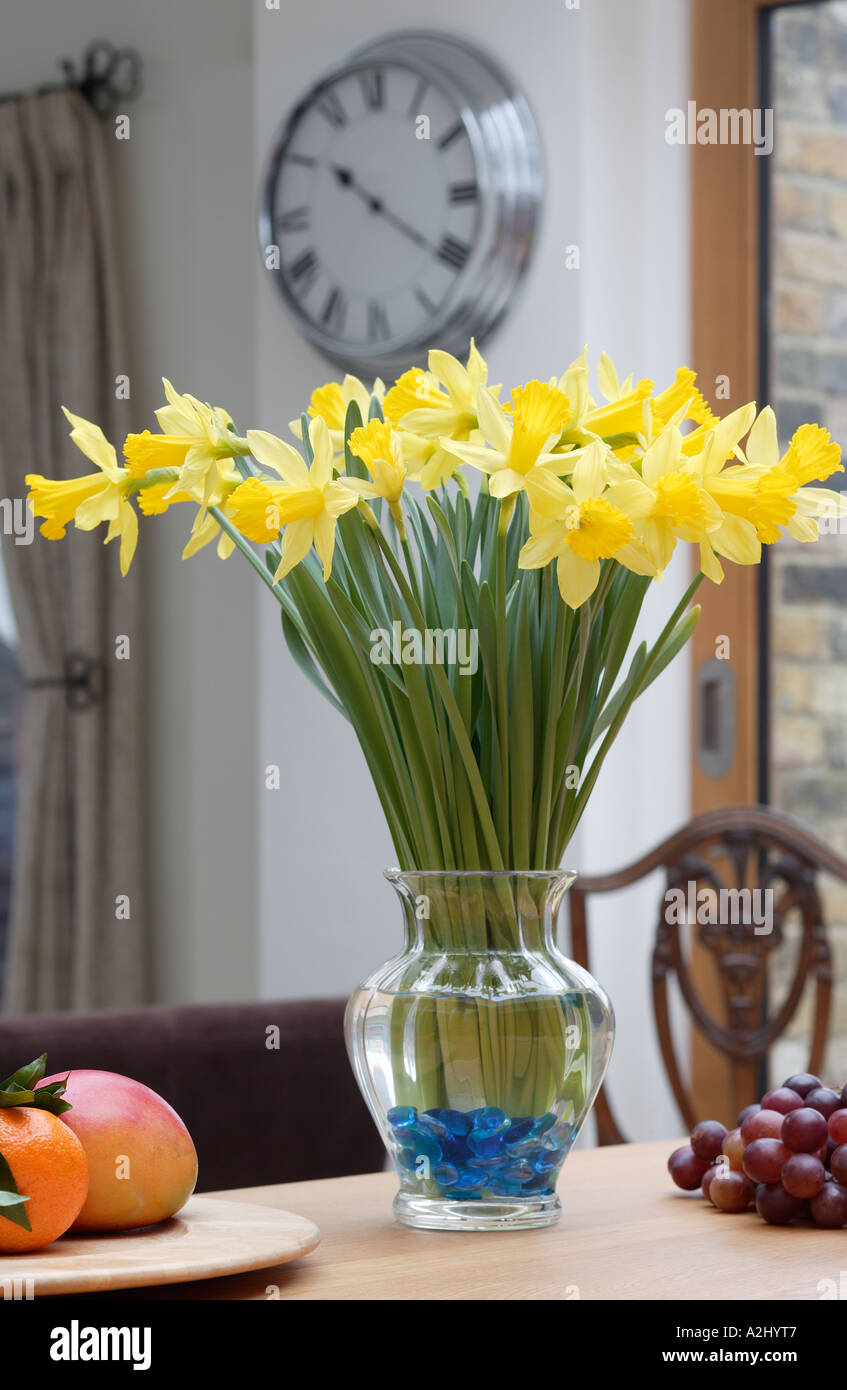 Vase mit Narzisse Blumen im Frühjahr Stockfoto