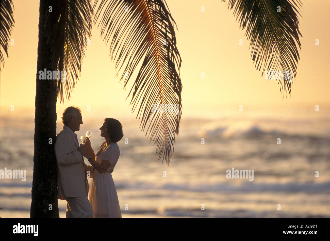 Älteres Paar steht nah beieinander unter einer Palme am Strand Sektgläser mit gedrückter Stockfoto