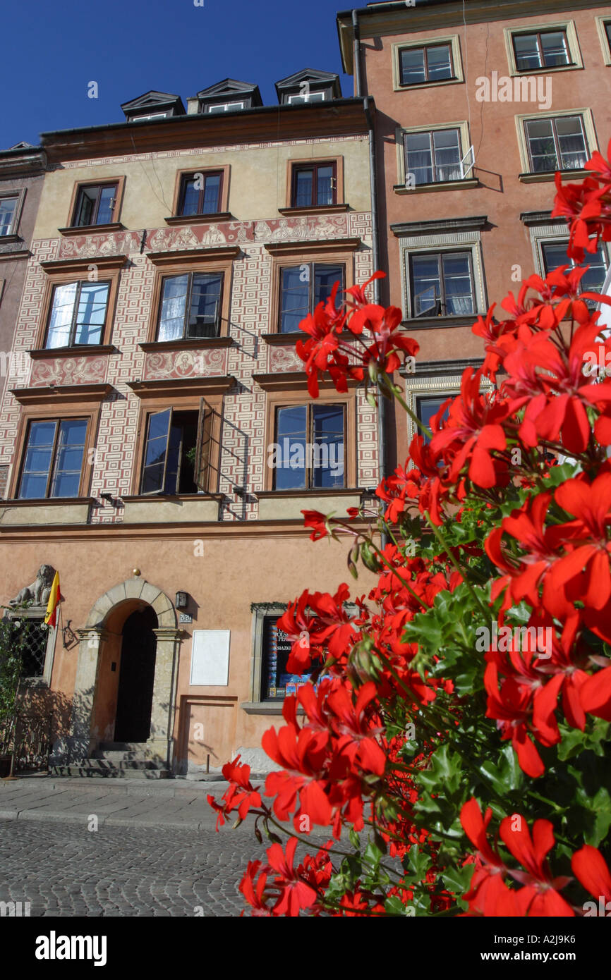 Warschau Polen die Altstadt mit roten Geranien Sommerblumen im Vordergrund Stockfoto