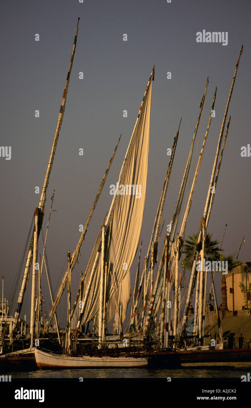 Afrika, Ägypten, Luxor, Nil. Feluken im Hafen von Luxor Stockfoto