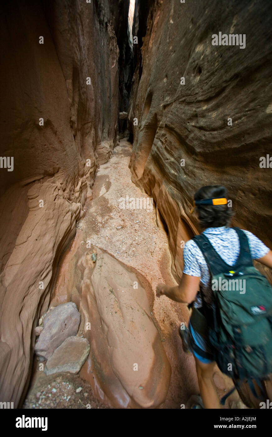 Jane Guyer Canyoning im Bluejohn Canyon, Räuber Quartier, Utah Stockfoto