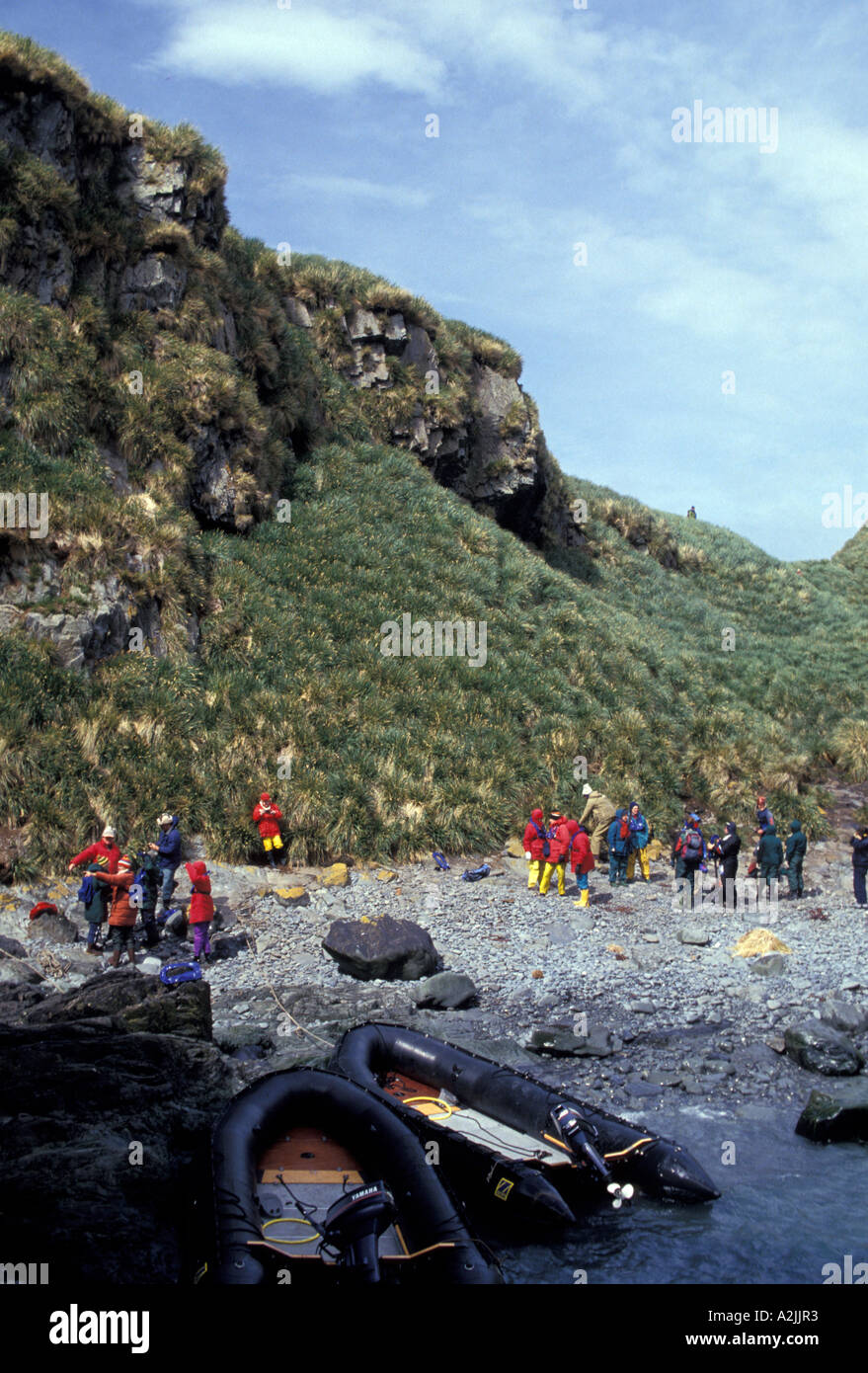 Antarktis, subantarktischen Inseln, Süd-Georgien. Zodiacs Landung an Küste Stockfoto