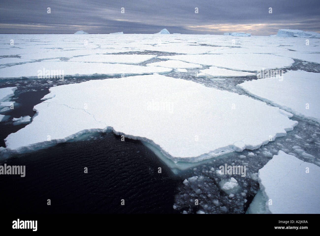 Antarktis. Packeis Stockfoto