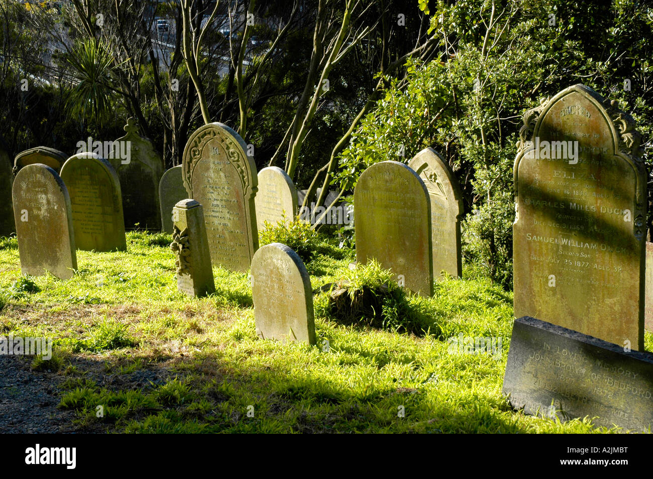 Friedhof Dunedin, Neuseeland Stockfoto