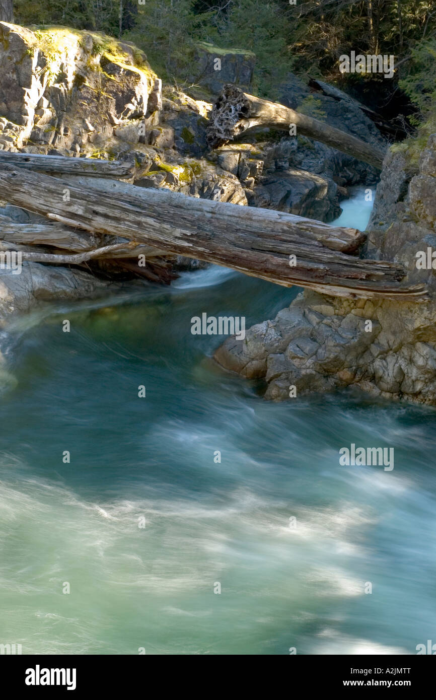 Log-Brücke Stockfoto