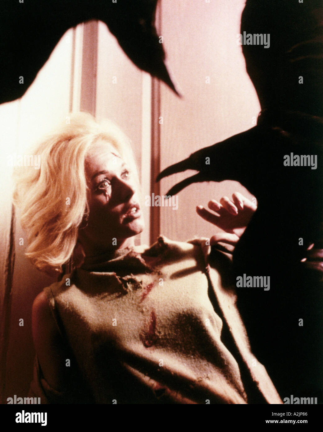 DIE Vögel Tippi Hedren in Hitchcock s 1963 film Stockfoto